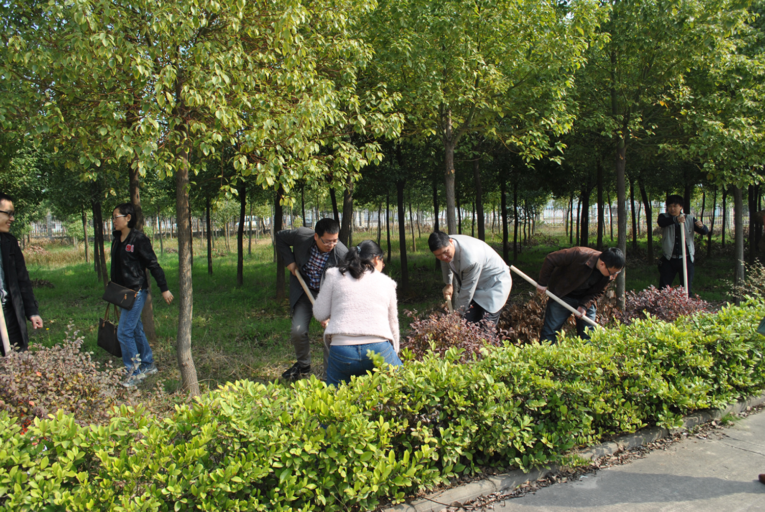 彰顯黨員風(fēng)采 踐行黨的群眾教育路線