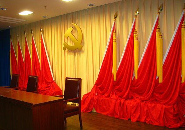 東信醫(yī)藥黨支部書記當(dāng)選江岸區(qū)第十一次黨代表大會(huì)代表