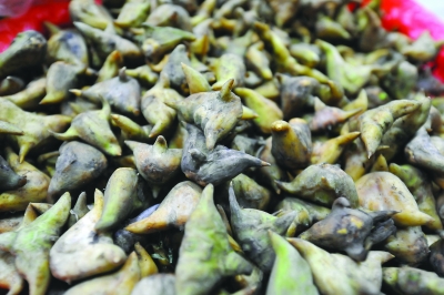 菱角可健脾養(yǎng)胃補血 食用注意3要點