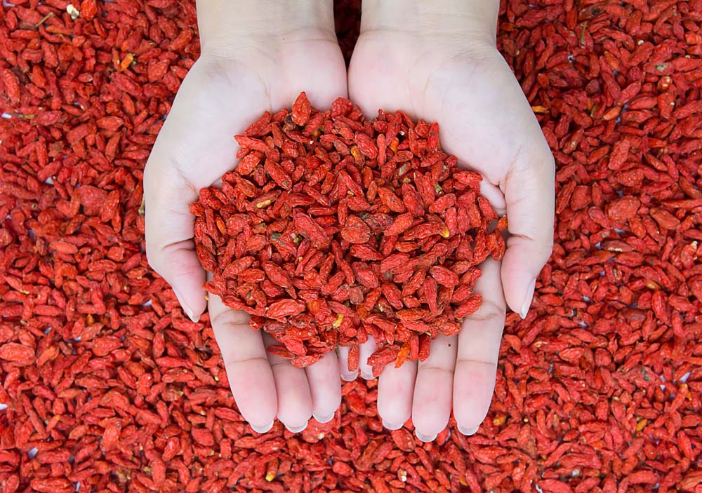 如何辨別枸杞是否人工染色？