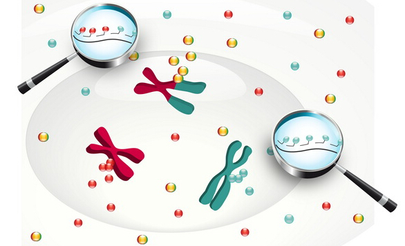 醫(yī)藥產(chǎn)業(yè)關鍵詞：創(chuàng)新與規(guī)范