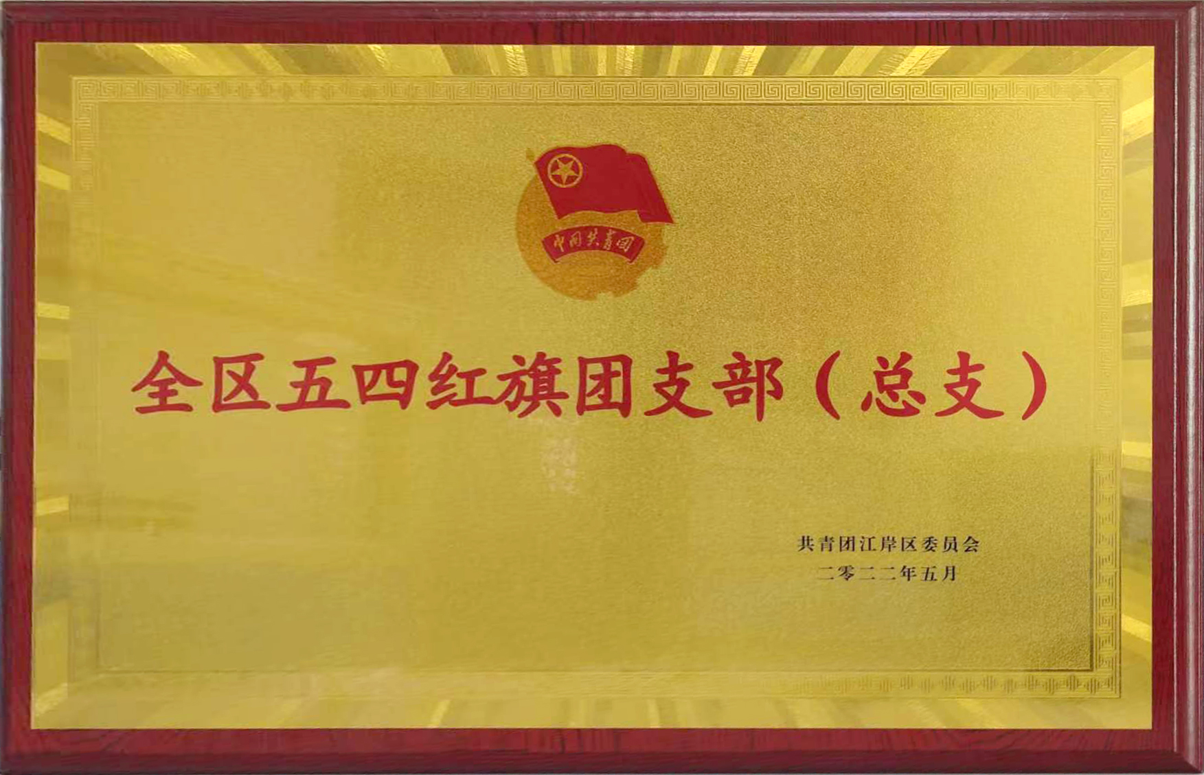 共青團(tuán)成立100周年之際，東信醫(yī)藥團(tuán)支部喜獲武漢市江岸區(qū)“全區(qū)五...