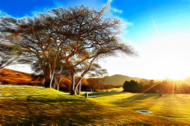 第二波疫情來襲？送你一份養(yǎng)肺指南